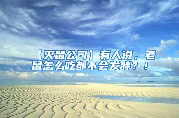 【滅鼠公司】有人說，老鼠怎么吃都不會發(fā)胖？！