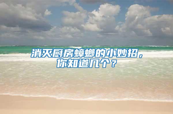 消滅廚房蟑螂的小妙招，你知道幾個？