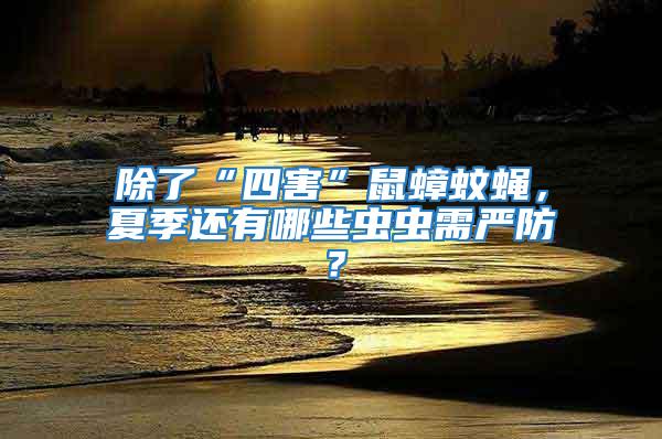 除了“四害”鼠蟑蚊蠅，夏季還有哪些蟲蟲需嚴防？
