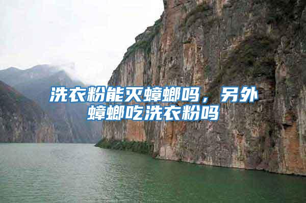 洗衣粉能滅蟑螂嗎，另外蟑螂吃洗衣粉嗎