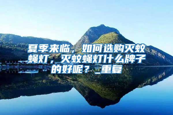 夏季來臨，如何選購滅蚊蠅燈，滅蚊蠅燈什么牌子的好呢？_重復