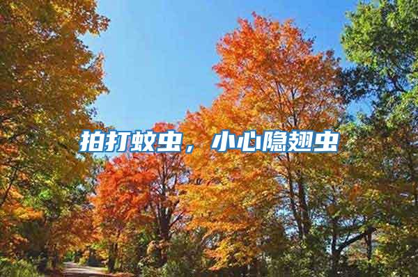 拍打蚊蟲，小心隱翅蟲