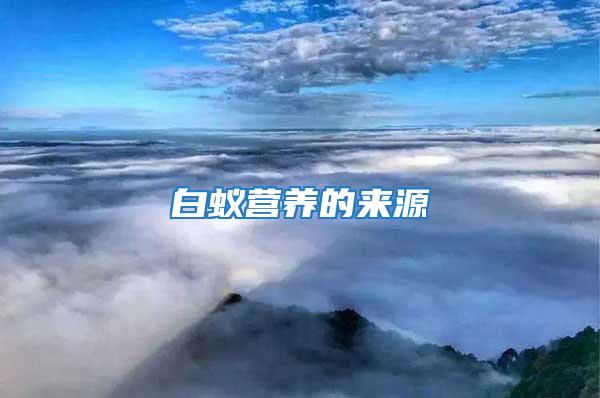 白蟻營(yíng)養(yǎng)的來源