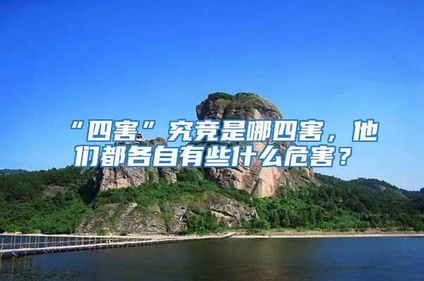 “四害”究競是哪四害，他們都各自有些什么危害？
