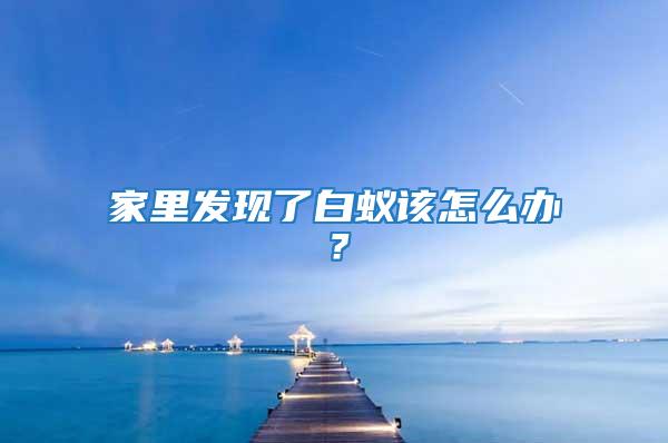 家里發(fā)現(xiàn)了白蟻該怎么辦？