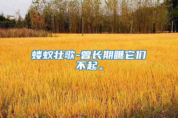 螻蟻壯歌-曾長(zhǎng)期瞧它們不起。