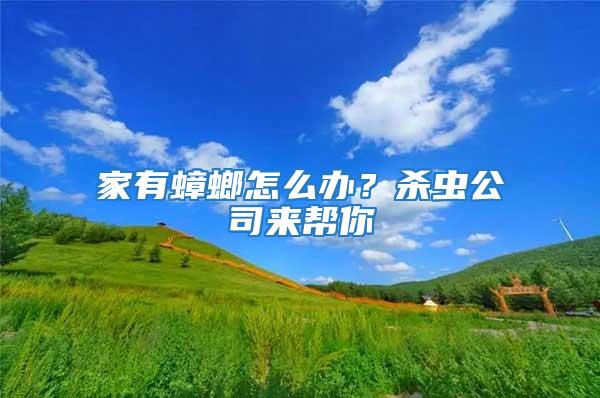 家有蟑螂怎么辦？殺蟲(chóng)公司來(lái)幫你