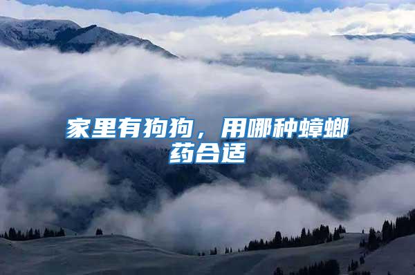 家里有狗狗，用哪種蟑螂藥合適