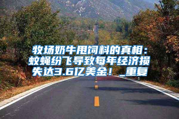 牧場(chǎng)奶牛甩飼料的真相：蚊蠅紛飛導(dǎo)致每年經(jīng)濟(jì)損失達(dá)3.6億美金！_重復(fù)