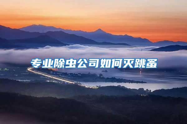 專業除蟲公司如何滅跳蚤