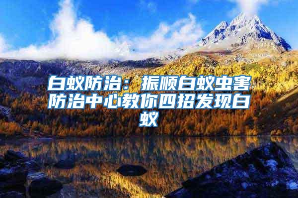 白蟻防治：振順白蟻蟲害防治中心教你四招發(fā)現(xiàn)白蟻