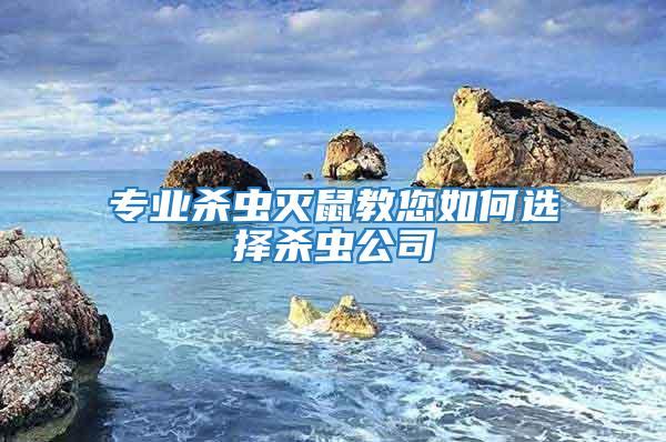 專業殺蟲滅鼠教您如何選擇殺蟲公司