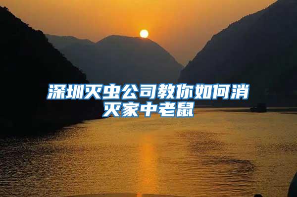 深圳滅蟲(chóng)公司教你如何消滅家中老鼠