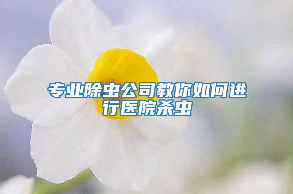 專(zhuān)業(yè)除蟲(chóng)公司教你如何進(jìn)行醫(yī)院殺蟲(chóng)
