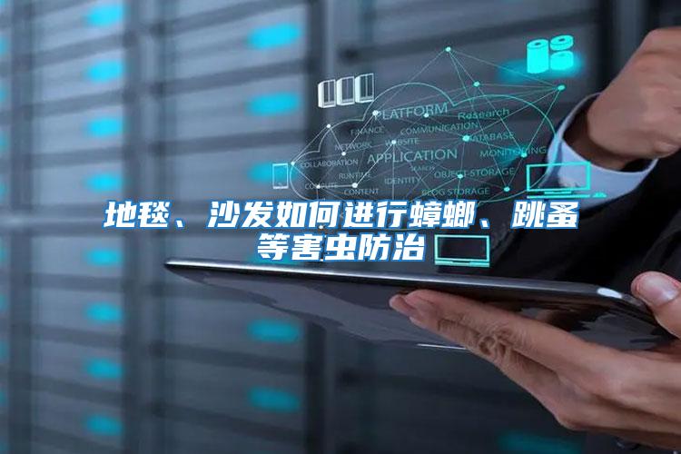 地毯、沙發如何進行蟑螂、跳蚤等害蟲防治