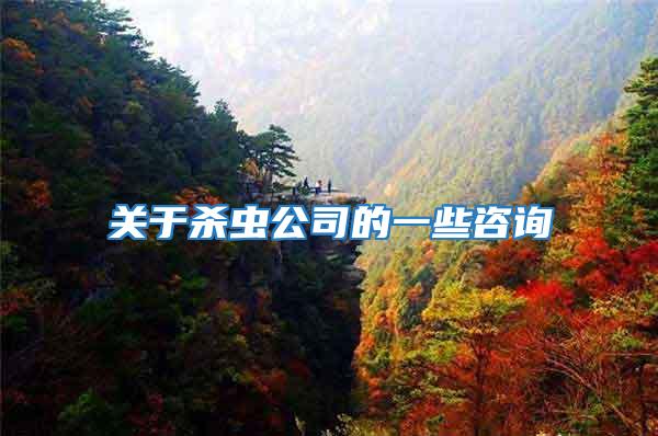 關(guān)于殺蟲(chóng)公司的一些咨詢