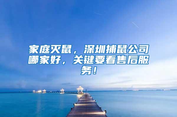 家庭滅鼠，深圳捕鼠公司哪家好，關(guān)鍵要看售后服務(wù)！