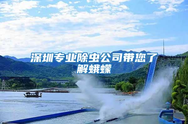 深圳專業除蟲公司帶您了解蛾蠓