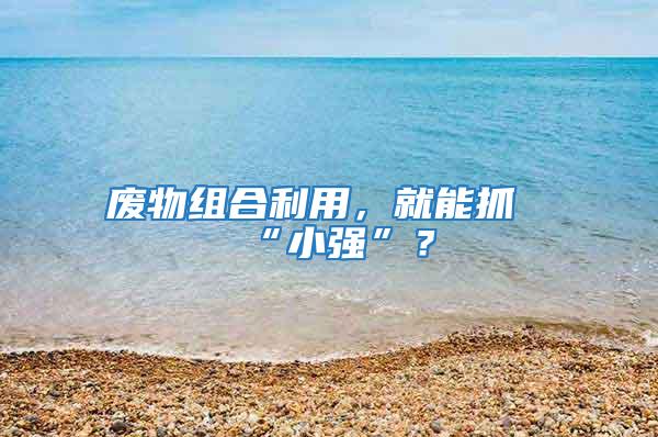 廢物組合利用，就能抓“小強(qiáng)”？