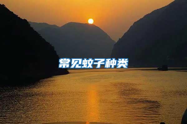 常見(jiàn)蚊子種類