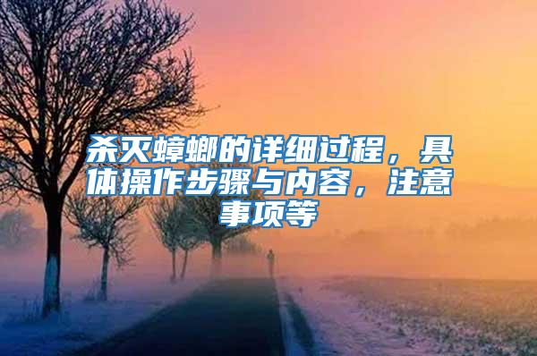 殺滅蟑螂的詳細過程，具體操作步驟與內容，注意事項等