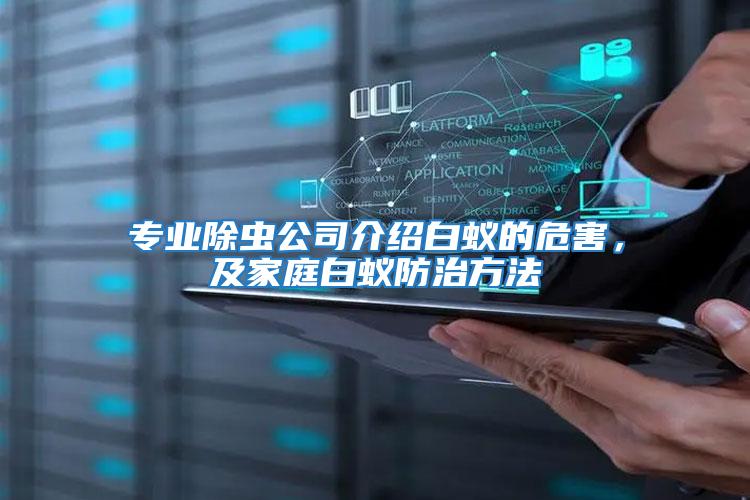專業除蟲公司介紹白蟻的危害，及家庭白蟻防治方法