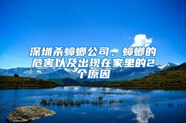 深圳殺蟑螂公司，蟑螂的危害以及出現在家里的2個原因