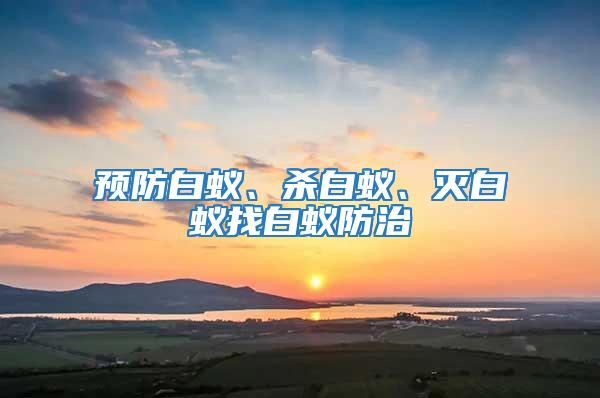預(yù)防白蟻、殺白蟻、滅白蟻找白蟻防治