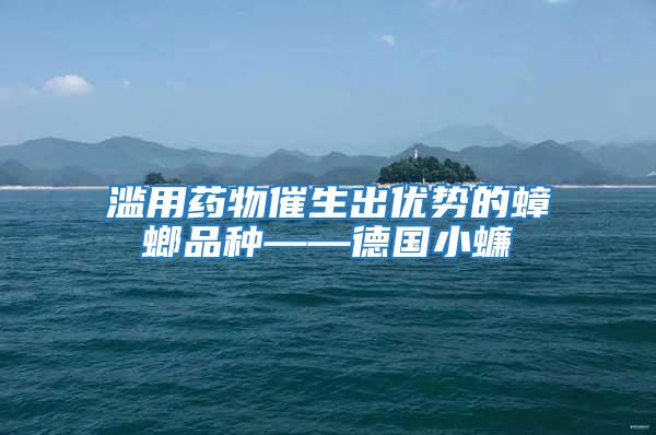 濫用藥物催生出優勢的蟑螂品種——德國小蠊