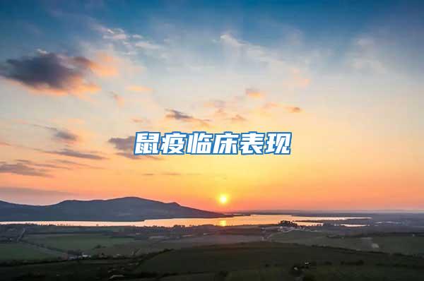 鼠疫臨床表現(xiàn)