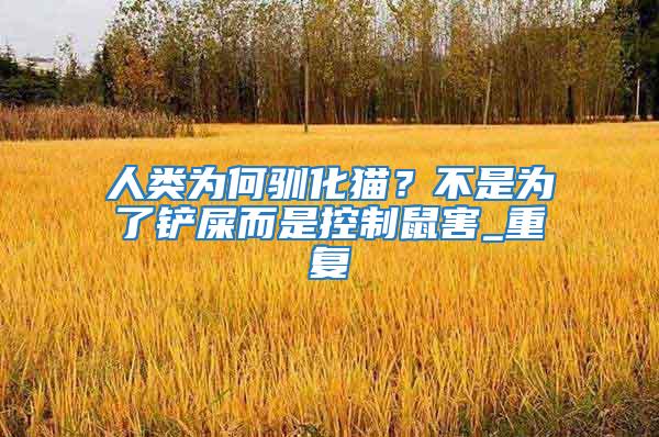 人類為何馴化貓？不是為了鏟屎而是控制鼠害_重復(fù)