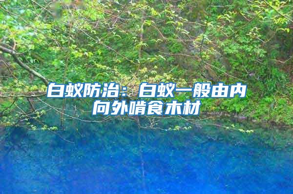白蟻防治：白蟻一般由內(nèi)向外啃食木材
