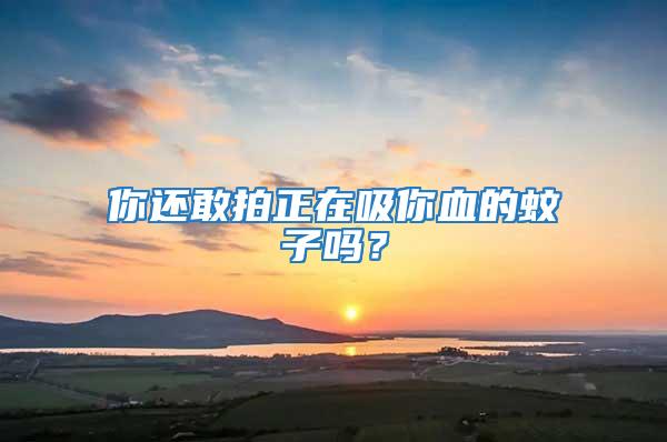 你還敢拍正在吸你血的蚊子嗎？