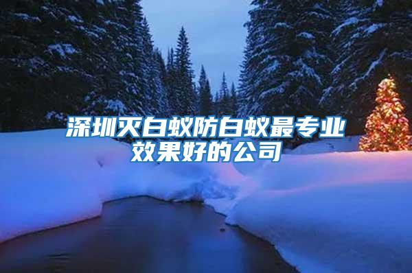 深圳滅白蟻防白蟻?zhàn)顚?zhuān)業(yè)效果好的公司