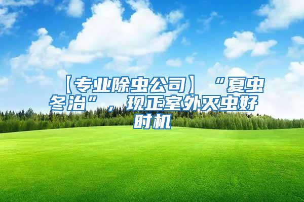 【專業除蟲公司】“夏蟲冬治”，現正室外滅蟲好時機