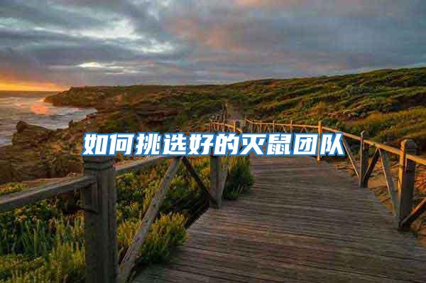 如何挑選好的滅鼠團(tuán)隊(duì)