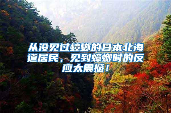 從沒見過蟑螂的日本北海道居民，見到蟑螂時(shí)的反應(yīng)太震撼！