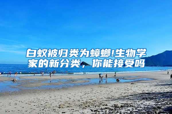 白蟻被歸類為蟑螂!生物學(xué)家的新分類，你能接受嗎