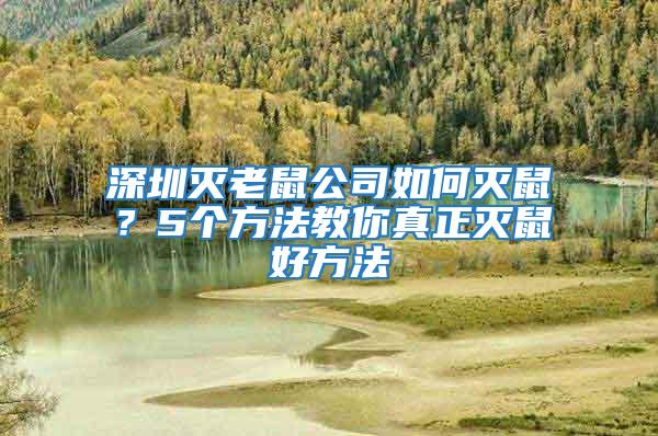 深圳滅老鼠公司如何滅鼠？5個(gè)方法教你真正滅鼠好方法