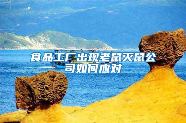 食品工廠出現(xiàn)老鼠滅鼠公司如何應(yīng)對