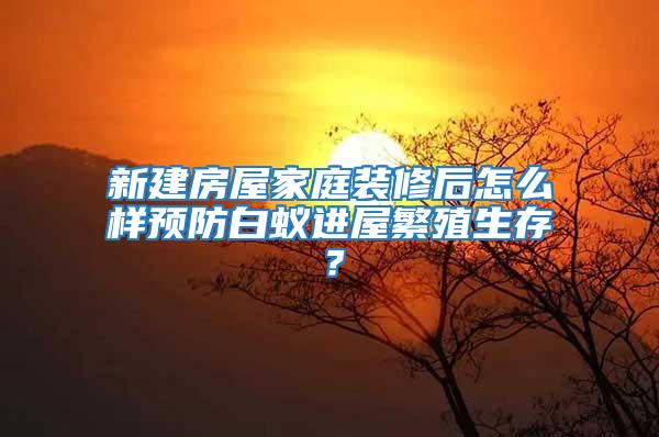 新建房屋家庭裝修后怎么樣預(yù)防白蟻進(jìn)屋繁殖生存？