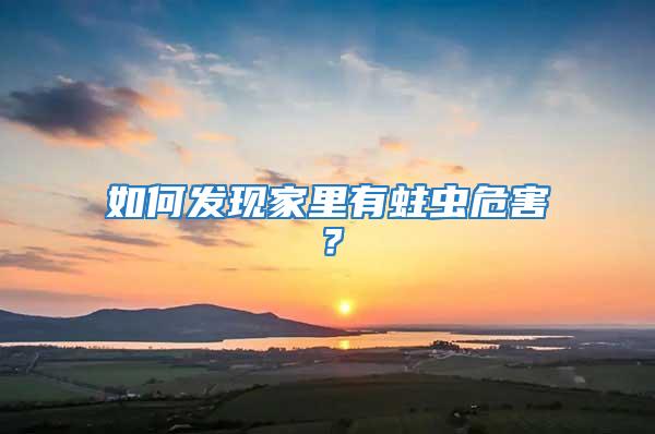 如何發(fā)現(xiàn)家里有蛀蟲危害？