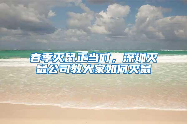 春季滅鼠正當(dāng)時(shí)，深圳滅鼠公司教大家如何滅鼠
