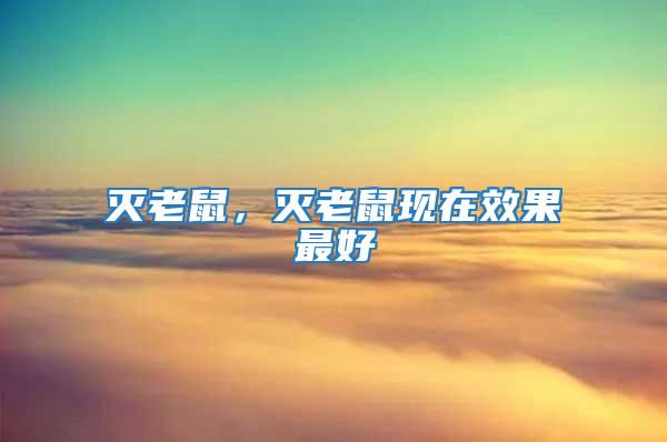 滅老鼠，滅老鼠現(xiàn)在效果最好