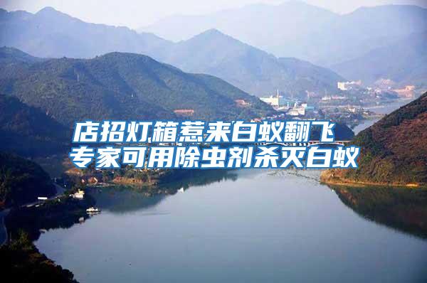 店招燈箱惹來(lái)白蟻翻飛 專家可用除蟲劑殺滅白蟻