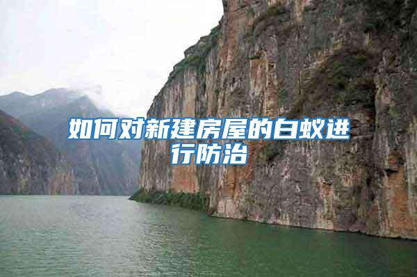 如何對(duì)新建房屋的白蟻進(jìn)行防治