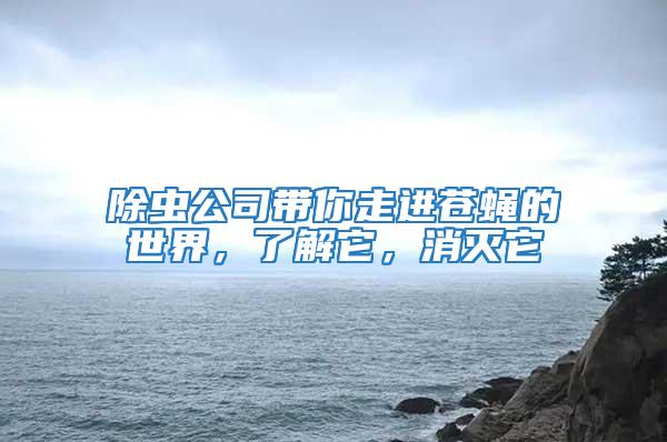 除蟲(chóng)公司帶你走進(jìn)蒼蠅的世界，了解它，消滅它