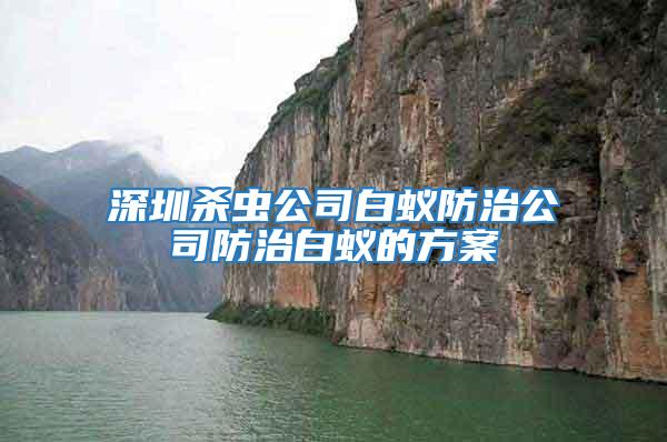 深圳殺蟲(chóng)公司白蟻防治公司防治白蟻的方案
