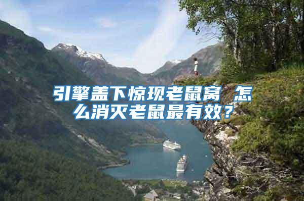 引擎蓋下驚現(xiàn)老鼠窩 怎么消滅老鼠最有效？