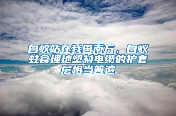 白蟻站在我國南方，白蟻蛀食埋地塑料電纜的護(hù)套層相當(dāng)普遍